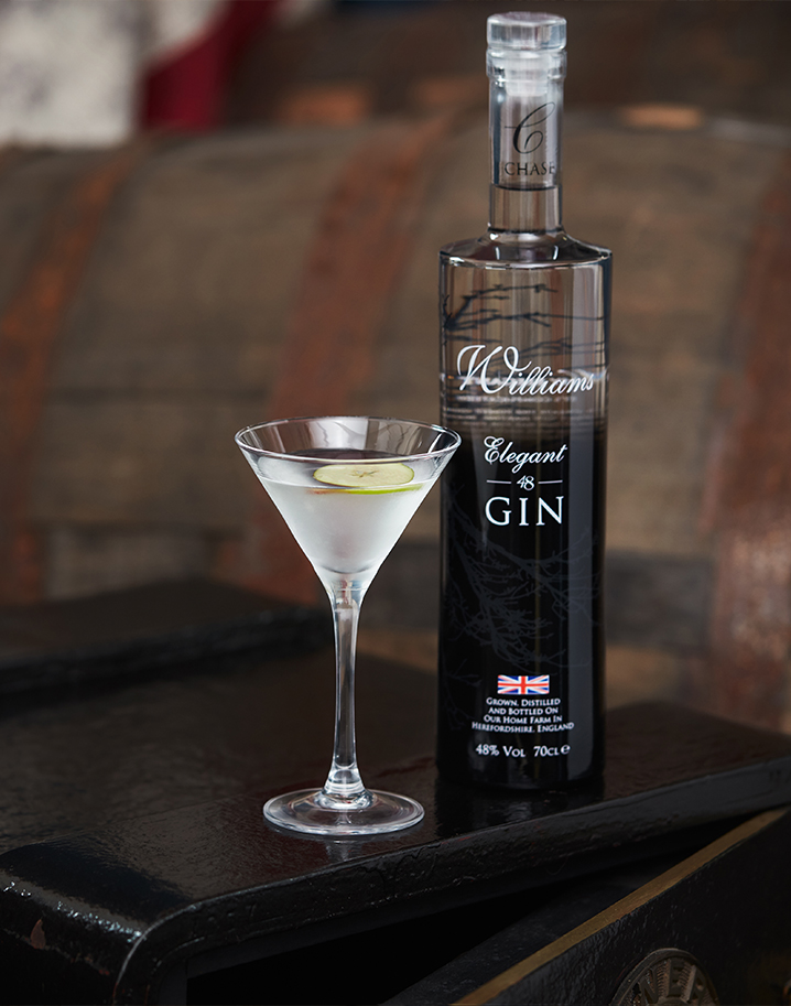 Williams-Elegant-48-Gin-Lifestyle